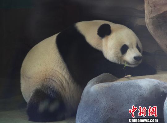 D顰աڴ˯ z