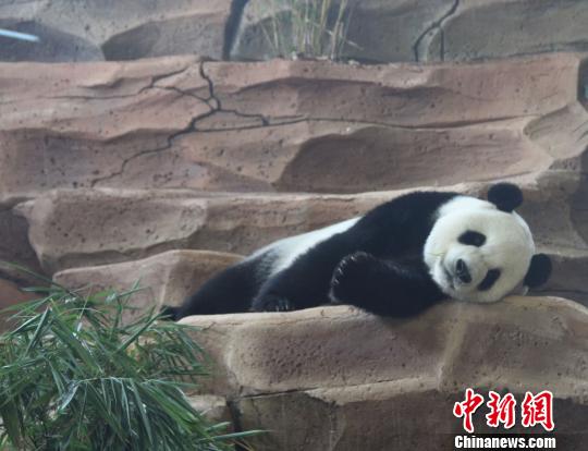 D鄂ġաu z