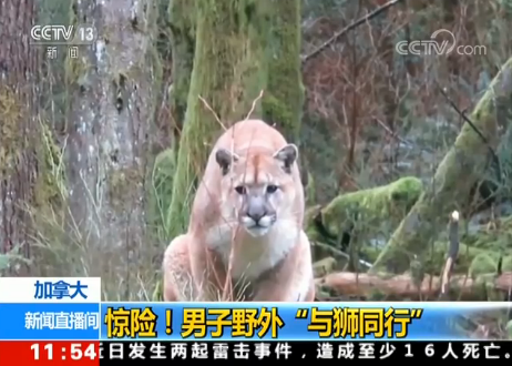 ���ô��@�U������Ұ�⡰�c�{ͬ�С�