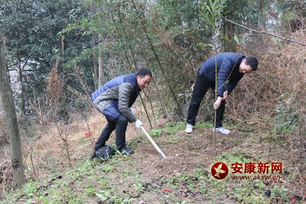 311գ޿hֱC(j)P(gun)300˅x(w)ֲ(dng)(dng)ֲ˘1400ԓhӋ(j)G6.2f(wn)д