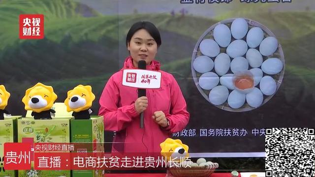 全渠道助銷農(nóng)產(chǎn)品超60億 蘇寧榮獲2018電商公益先鋒獎