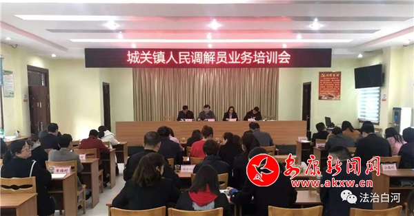 城關(guān)鎮(zhèn)人民調(diào)解員業(yè)務(wù)培訓(xùn)會.jpg
