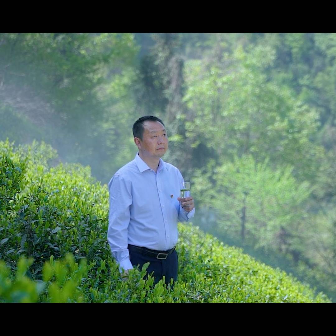 һL(fng)š޿hԪ(zhn)hί(sh)ӛ،Ʒ޸裡