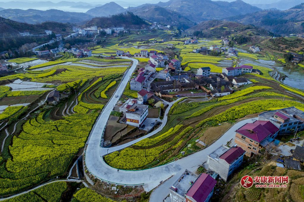 PߴɫzӰƤ¾SԒ(hu)h13325355508Ĕzʡhꎿhu(zhn)P߹ - .JPG