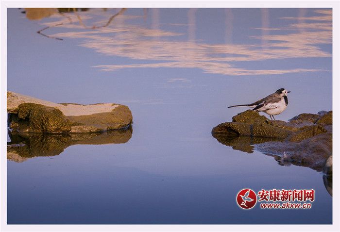 ˮһɫzӰƤ¾SfƬ2017123ʡНhĔzչF(xin)õB(ti)h(hun)(lin)ϵԒ