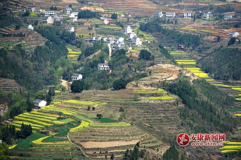 D2.̎(ni)ꑸ(d)߁ɽɽɽص6Nεòc(din)˷Ϣ@˂ò