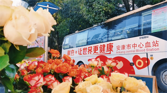 安康這三兄妹，熱血！