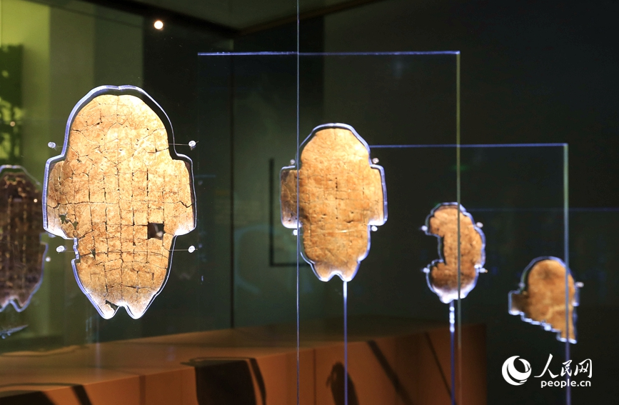 殷墟博物館展出的甲骨文。人民網(wǎng)記者 慎志遠 攝