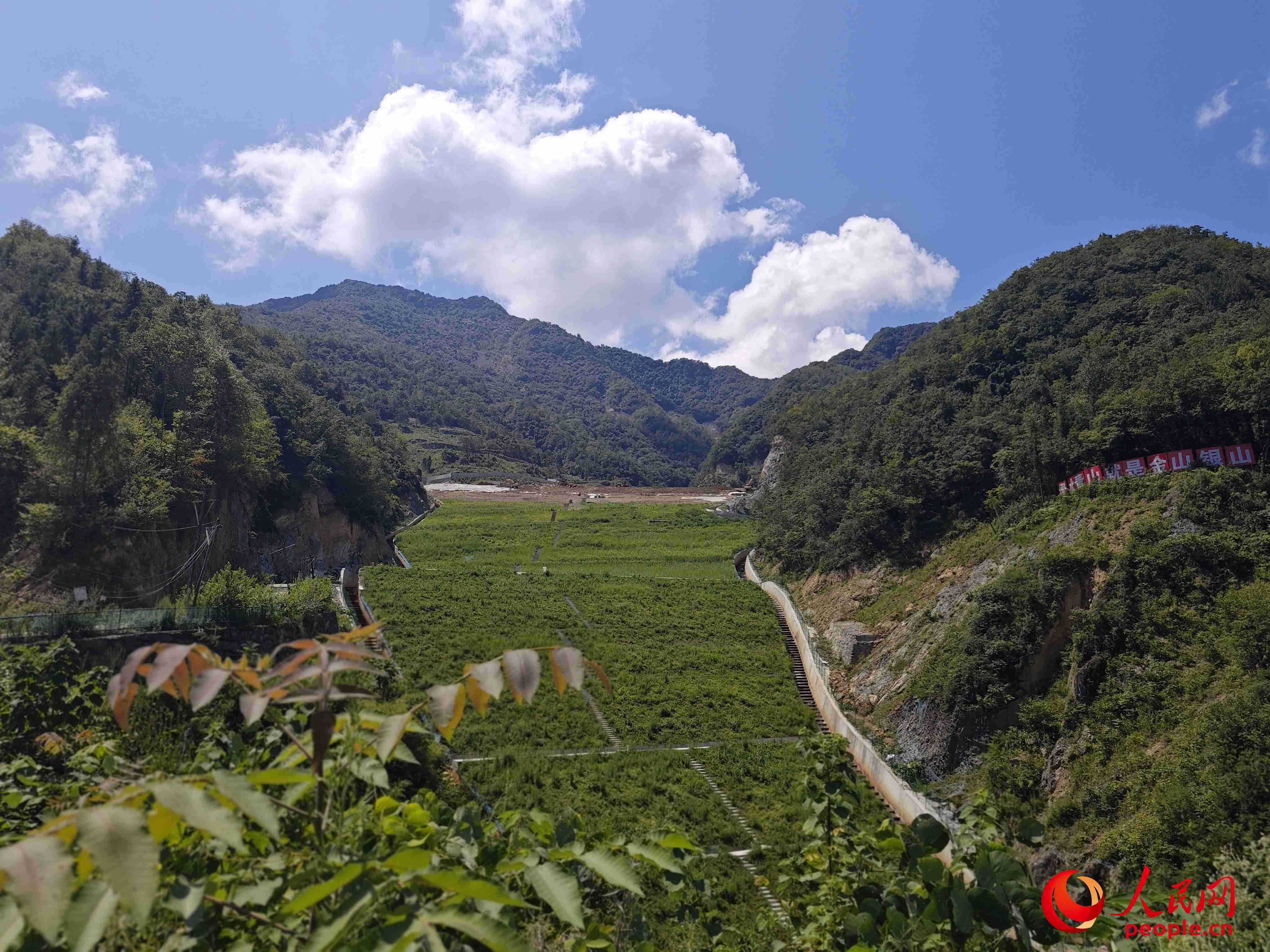 已部分復(fù)綠的貯存場。人民網(wǎng)記者 黃鈺攝