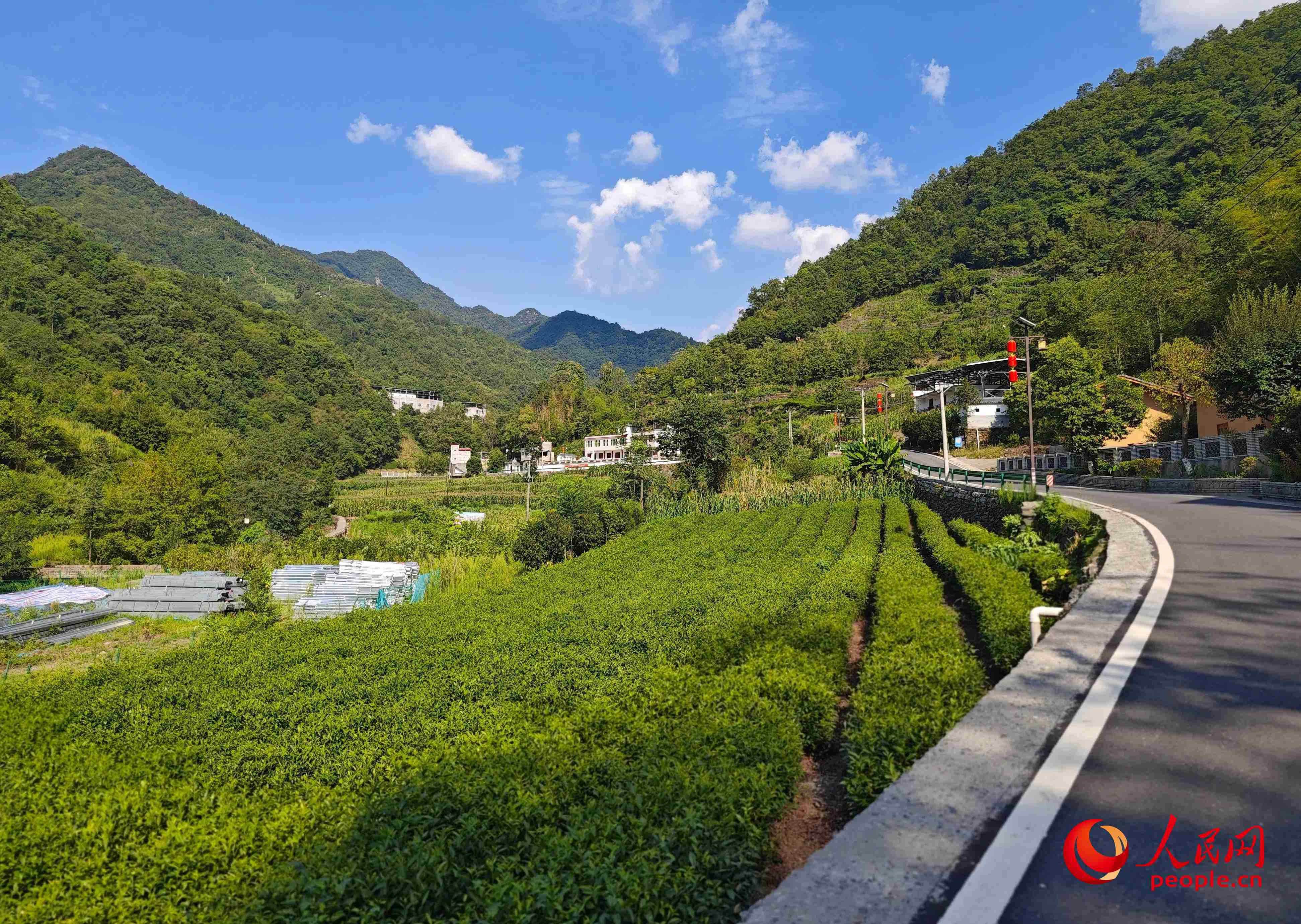 里端溝旁的鳳凰村。人民網(wǎng)記者 黃鈺攝